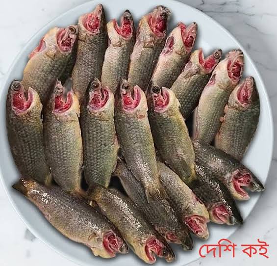 Koi Fish 1kg